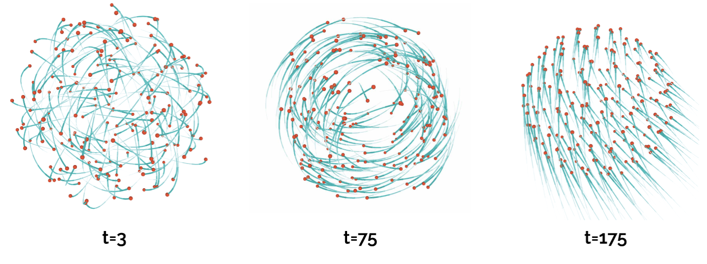 Three snapshots of a simulated swarm at t=3, t=75 and t=175, drawn as red points with teal motion trails, going from a tangle to a ring to parallel streams.